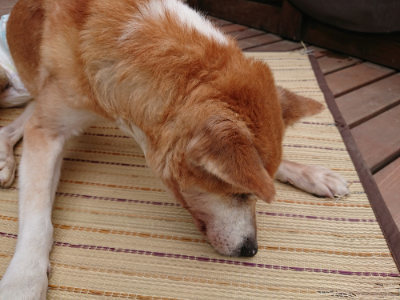 f:id:roukenhome-ann:20190823100329j:plain
