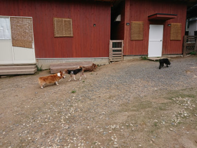 f:id:roukenhome-ann:20190823100636j:plain