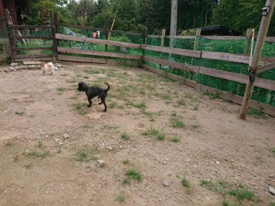 f:id:roukenhome-ann:20190823100646j:plain