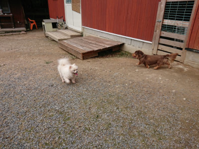 f:id:roukenhome-ann:20190823100656j:plain