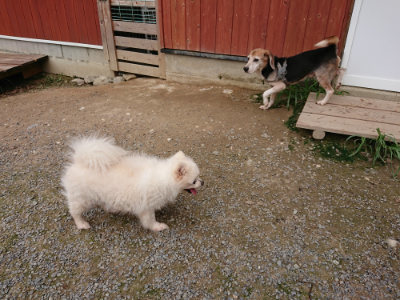 f:id:roukenhome-ann:20190823100713j:plain