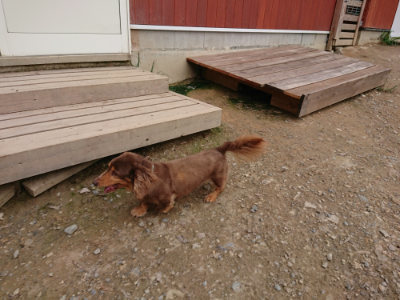 f:id:roukenhome-ann:20190823100728j:plain