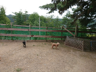 f:id:roukenhome-ann:20190823100734j:plain