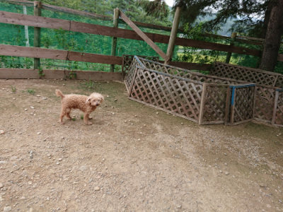 f:id:roukenhome-ann:20190823100748j:plain