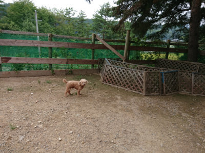 f:id:roukenhome-ann:20190823100806j:plain