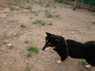 f:id:roukenhome-ann:20190823100845j:plain