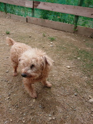 f:id:roukenhome-ann:20190823100852j:plain