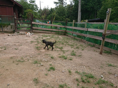 f:id:roukenhome-ann:20190823100929j:plain