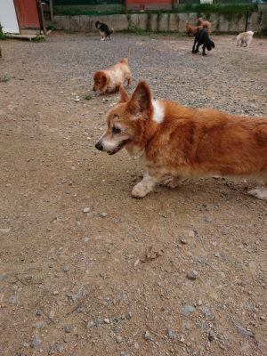 f:id:roukenhome-ann:20190823112107j:plain