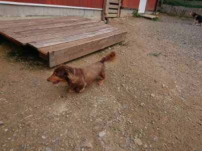 f:id:roukenhome-ann:20190823112124j:plain
