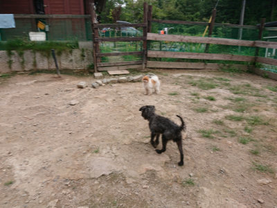 f:id:roukenhome-ann:20190823112129j:plain