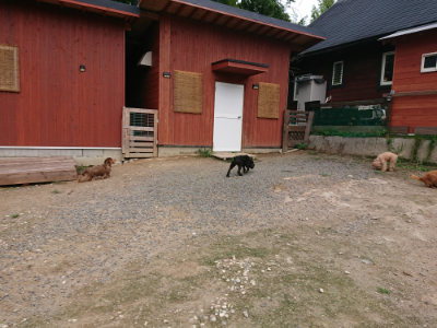 f:id:roukenhome-ann:20190823112145j:plain
