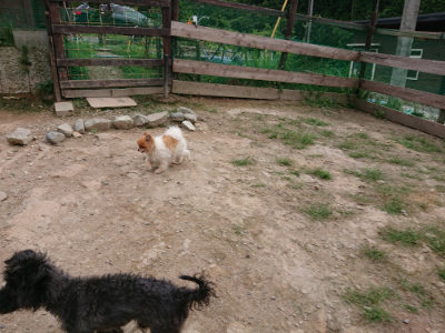f:id:roukenhome-ann:20190823112151j:plain