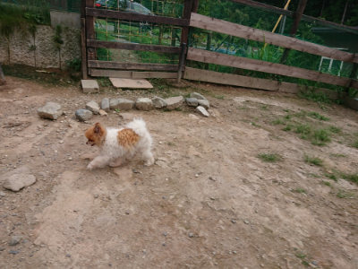 f:id:roukenhome-ann:20190823112215j:plain