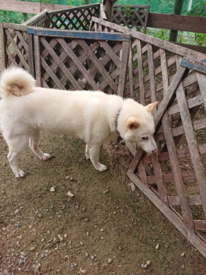f:id:roukenhome-ann:20190823112220j:plain