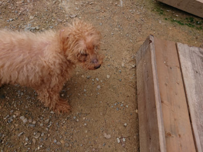 f:id:roukenhome-ann:20190823112250j:plain