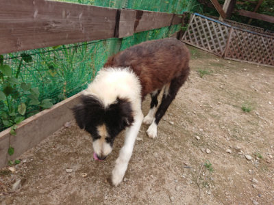 f:id:roukenhome-ann:20190823113622j:plain
