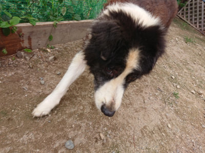 f:id:roukenhome-ann:20190823113631j:plain