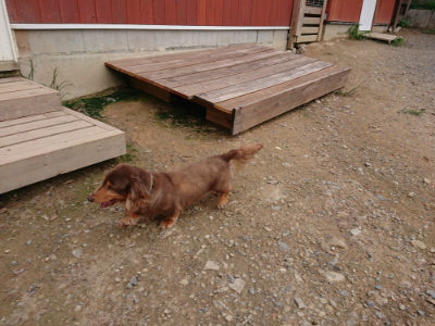 f:id:roukenhome-ann:20190823113656j:plain
