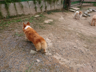 f:id:roukenhome-ann:20190823113702j:plain