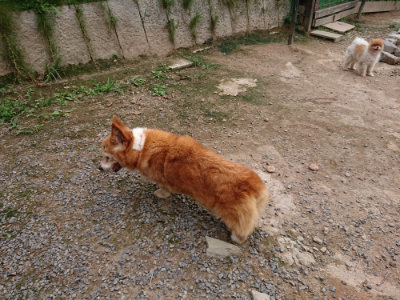 f:id:roukenhome-ann:20190823113710j:plain