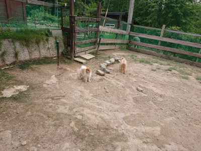 f:id:roukenhome-ann:20190823113726j:plain