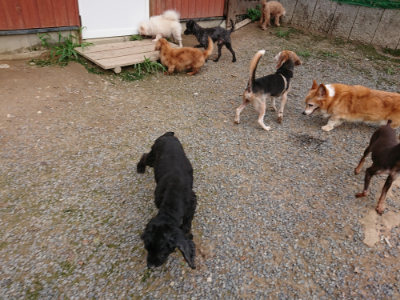 f:id:roukenhome-ann:20190823113739j:plain
