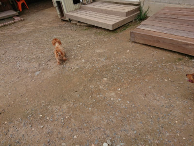 f:id:roukenhome-ann:20190823113745j:plain