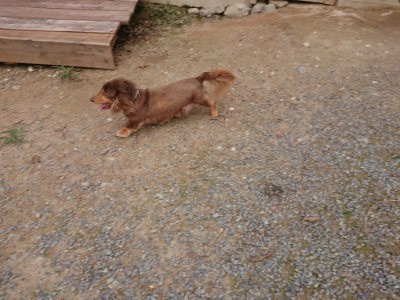 f:id:roukenhome-ann:20190823113753j:plain