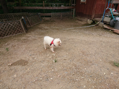 f:id:roukenhome-ann:20190823113826j:plain