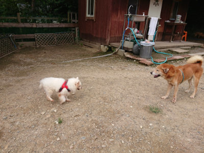 f:id:roukenhome-ann:20190823113838j:plain