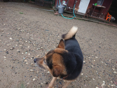 f:id:roukenhome-ann:20190823122406j:plain