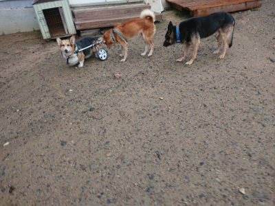 f:id:roukenhome-ann:20190823122413j:plain