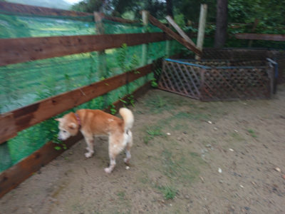 f:id:roukenhome-ann:20190823122432j:plain