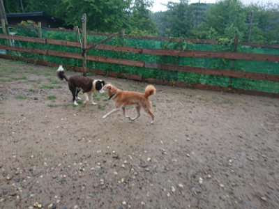 f:id:roukenhome-ann:20190823122443j:plain