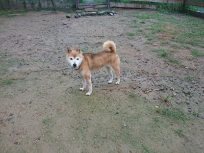 f:id:roukenhome-ann:20190823122502j:plain