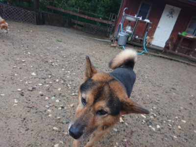 f:id:roukenhome-ann:20190823122603j:plain
