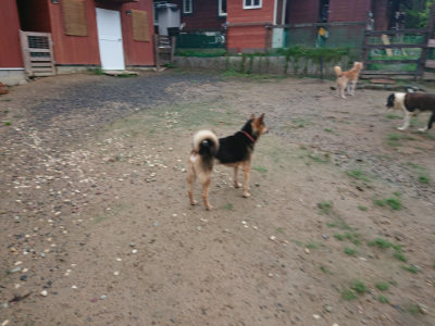 f:id:roukenhome-ann:20190823122646j:plain