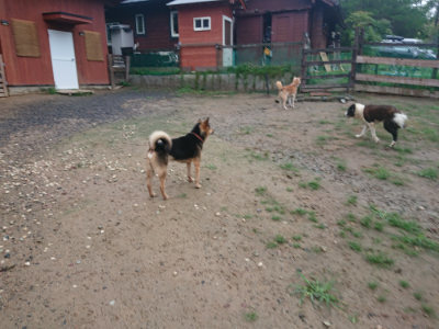 f:id:roukenhome-ann:20190823122710j:plain