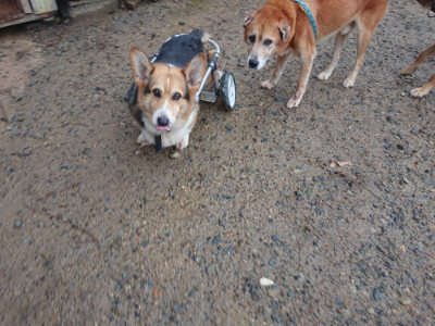 f:id:roukenhome-ann:20190823123157j:plain