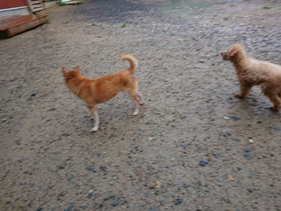 f:id:roukenhome-ann:20190823123231j:plain