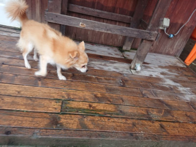f:id:roukenhome-ann:20190823123242j:plain