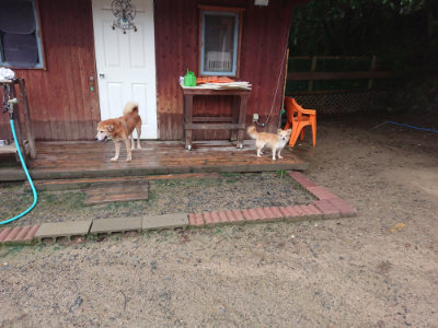 f:id:roukenhome-ann:20190823123254j:plain