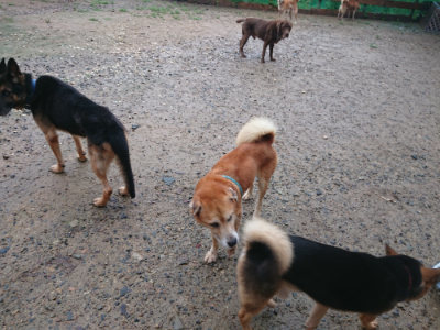 f:id:roukenhome-ann:20190823123328j:plain
