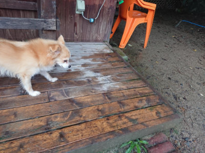 f:id:roukenhome-ann:20190823123336j:plain