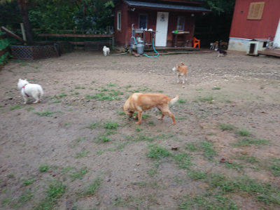 f:id:roukenhome-ann:20190823123342j:plain