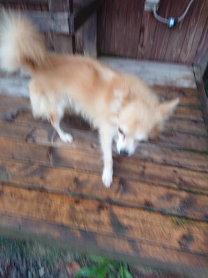 f:id:roukenhome-ann:20190823123402j:plain