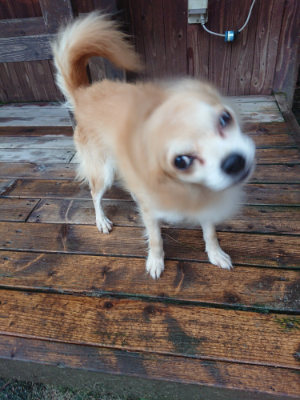 f:id:roukenhome-ann:20190823123408j:plain