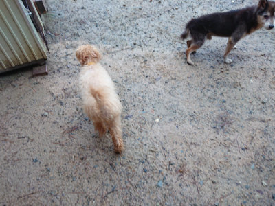 f:id:roukenhome-ann:20190823132427j:plain
