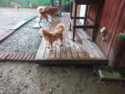 f:id:roukenhome-ann:20190823132503j:plain
